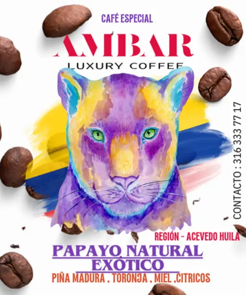 Cafe especial Papayo Proceso Natural 200 g
