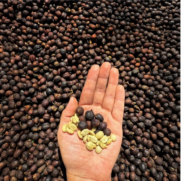 Cafe especial Papayo Proceso Natural 200 g